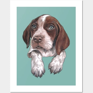 German Shorthaired Pointer puppy Posters and Art